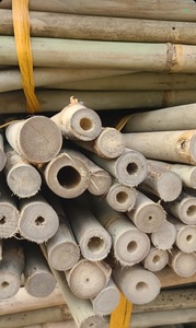 ไม้ไผ่ตกแต่งเสามอสแบบปรับแต่งได้สำหรับการสนับสนุนพืช - Product Image 2