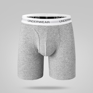 Active Lifestyle Comfort Fit Hommes Boxer Briefs Avec Tissu Doux Respirant Stretch Ceinture Évacuation De L'humidité Soutien Pour Quotidien - Product Image 3