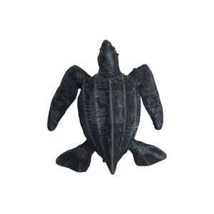 12 jouets d'exploration de la nature de la collection de petites mers - Product Image 5