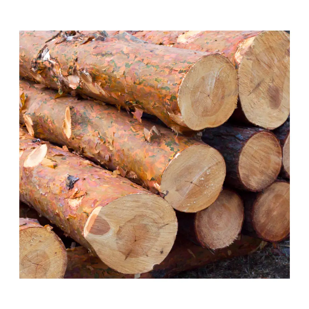 Mejor Precio de alta calidad al por mayor personalizado 100% troncos de madera de pino en bruto troncos de madera de teca para la venta hecho en Vietnam