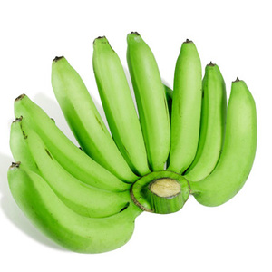 Plátano fresco Cavendish AL POR MAYOR PLÁTANO VERDE CAVENDISH FRESCO CON PRECIO/CALIDAD ATRACTIVA - Product Image 1