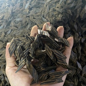 Diffuseur d'encens et d'aromathérapie thérapeutique Tiger Oud Wood Chips pour la relaxation Pure Agarwood Oud - Product Image 4