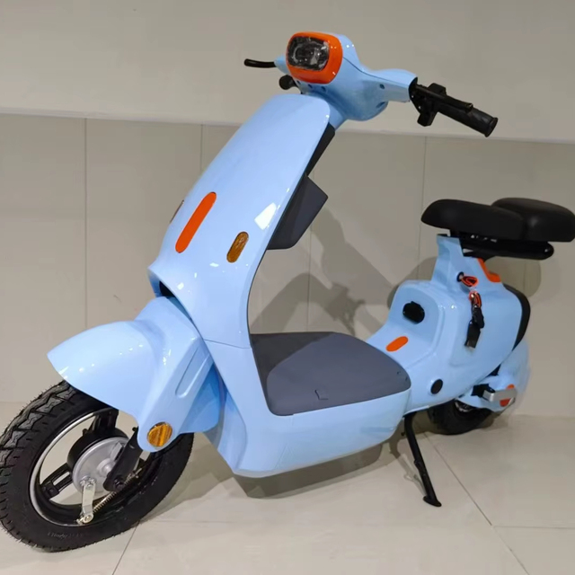 Popular Model Electric Bike with 2 Seats Electric Scooter for Sale Support OEM and ODM Electric Bicycle Smart Style E-bike