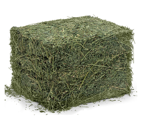 Heno de alfalfa de alta calidad para alimentación animal disponible a precios asequibles, ideal para el apoyo nutricional y el ganado saludable - Product Image 1