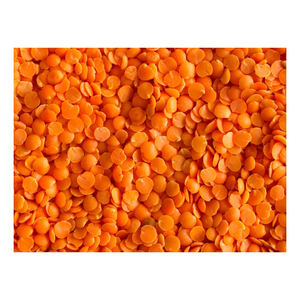 ถั่วแดงแห้งคุณภาพสูงราคาดีที่สุดสำหรับการแยกและทั้งพันธุ์ - Product Image 1