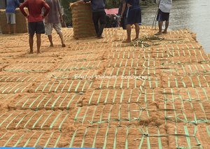 Tapis en fibre de coco écologique en gros, style uni, lavable, réversible, tailles personnalisées, haute qualité du Vietnam, meilleur prix - Product Image 6
