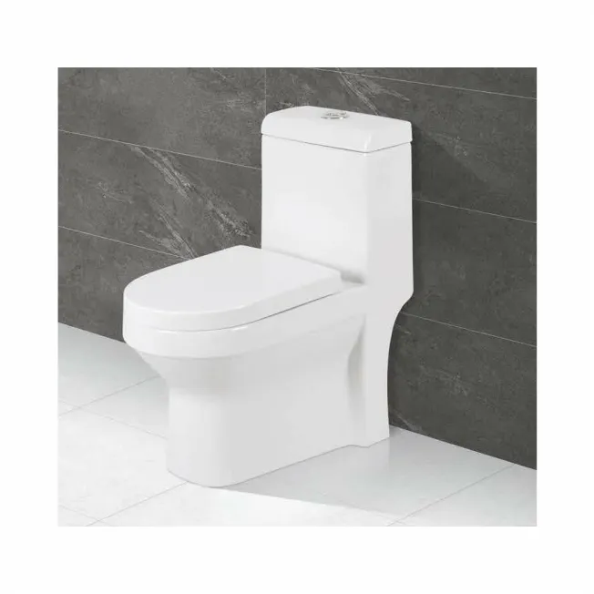 Gracy one piece wc con lavabo singolo a scomparsa in ceramica color bianco sanitaryware