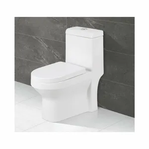 Einteilige Toilette mit bündig montierter, einfach verdeckter Keramik toilette in weißer Farbe