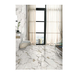 Nueva colección Los mejores azulejos de porcelana natural Levin disponibles a un precio razonable del exportador indio - Product Image 1