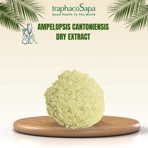 En gros À Base De Plantes Ampelopsis Cantoniensis Extrait Liquide-Solide Aliment De Santé Extrait 5% Humidité Sec Jaune Poudre Sauvage Feuille Sac - Product Image 4