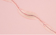 Sistem inspeksi Wafer analisis pengukuran optik semikonduktor sistem inspeksi Wafer otomatis - Product Image 5