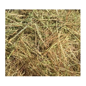 Heno de pasto de alta calidad para alimentación de ganado - Product Image 3