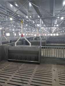 Professional Pig and Poultry Equipment Includes Automatic Feeding System and <b>Feed</b> <b>Bin</b> Silo - Product Image 3
