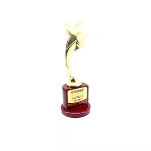Gran oferta, Trofeo personalizado de estrella dorada de metal, Premio de Reconocimiento de estrella brillante para hitos corporativos disponibles a precio de fábrica - Product Image 3