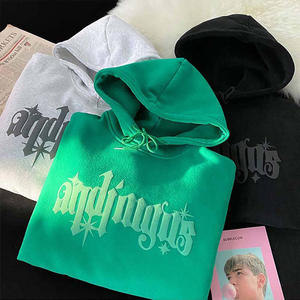 Vente chaude Personnalisé 3D Puff Impression Hoodies 100% Coton Sweats À Capuche Lourds Streetwear Hommes Pull 400gsm Sweats À Capuche Surdimensionnés - Product Image 1