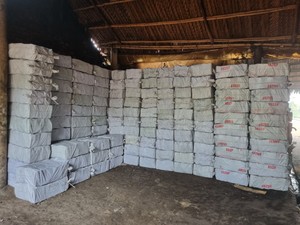 CHARBON DE MANGROUE 100% BOIS DUR/ MEILLEUR PRIX/ QUALITÉ PREMIUM/ DISPONIBLE AU VIETNAM - SOCIÉTÉ BIWOOD - Product Image 5