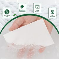 40 feuilles de lessive biodégradable à base de plantes, écologiques, à haute mousse, jetables, sans déchets, biodégradables, savon à lessive