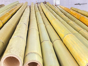 Pôles en bambou personnalisés pour rouleaux de clôture - Protection de la vie privée pour les jardins et les cours arrière Fabriqué au Vietnam - Product Image 4
