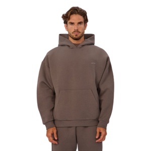 IOTA SPORTS Top Qualité Élégant 100% Coton Polaire Pull À Capuche Logo Personnalisé 3D Broderie High Street Style Unisexe Hoodies - Product Image 1