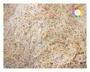 Variété vietnamienne d'algues Cottoni Eucheuma pour la production de carraghénanes séchées naturellement et emballées pour les marchés d'exportation en vrac - Product Image 1