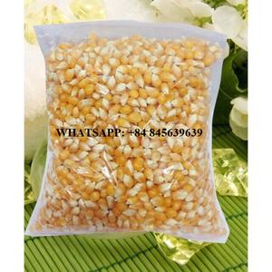 Maíz Dulce Congelado IQF, Granos de Maíz Cortados - Compre Maíz Dulce Congelado al Mejor Precio - Product Image 4