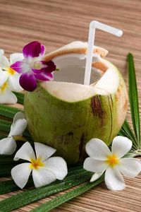 Premium Fresh Vietnamese Cocos Premium Fresh Citrus Fruit - Product Image 4