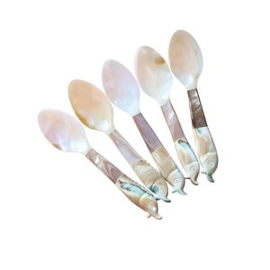 Cuillère de service en nacre, faite à la main, polie, en coquillage, idéale pour le caviar, parfaite pour les dîners gastronomiques, hôtels et restaurants - Product Image 1