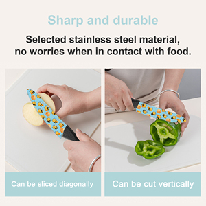 Nueva Tendencia, 2 Juegos de Cuchillos de Chef de Cerámica con Mango de Plástico, Fabricación Profesional en Fábrica, Duraderos, para Tiendas de Comercio Electrónico Shopify - Product Image 6