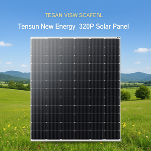 Panneau solaire Tensun New Energy 320P - Product Image 3