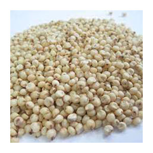 Semillas de Sorgo Blanco Origen Brasil 100% de Alta Calidad para Uso Alimentario Venta al por Mayor a Precio Económico 12 Meses de Duración - Product Image 6