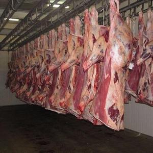 Carne de Cordero Halal Fresca Congelada de Alta Calidad, Caja de Cola de Hueso de Cordero, Carcasa Completa de Oveja para Distribuidores Globales que Buscan Carne Confiable - Product Image 4