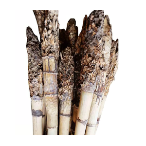 Agriculture Products 18/23mm 24/29mm 30mm Natural Raw <b>Rattan</b> <b>Cane</b> Dried Style 3M 4M Furniture Handicrafts - Product Image 3