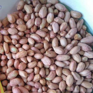 สารสกัดจากสมุนไพรธรรมชาติ - Product Image 1