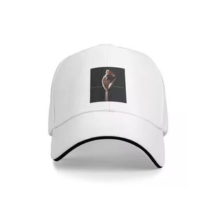 Nuevo diseño bordado parche algodón alta calidad superventas sombreros de béisbol mejor Material cómodo camionero sombreros de béisbol - Product Image 1