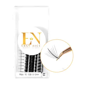 Eye Lashes Extention Promade Fans Eyelash 9D Best Selling natural Lashes 2023 Logo Customization Boxes Packaging By Vietnam