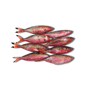 Pescado Fusilero rojo congelado IQF24 de alta calidad, redondo entero a granel y envasado al vacío con 24 meses de vida útil y almacenamiento de-18C - Product Image 3