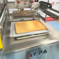 Machine de découpe automatique des aliments avec technologie ultrasonique, nettoyage automatique, sécurité en acier inoxydable pour la transformation des gâteaux congelés