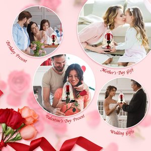 Type classique Rose Beauty <span class=keywords><strong>Rosa</strong></span> <span class=keywords><strong>Bella</strong></span> E Bestia 100% vraie Rose préservée Beauté et la bête avec lumière LED pour la Saint-Valentin - Product Image 5