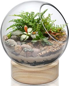 Top Sale clear Table <b>Vase</b> Decoration Centerpiece clear Round <b>Fish</b> Bowl Flower Display Glass Round Terrarium <b>Vase</b> for Plants - Product Image 3