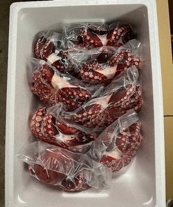Precio razonable Perfecto japonés al por menor Pulpo Pescado congelado Exportadores de mariscos con alta calidad - Product Image 4