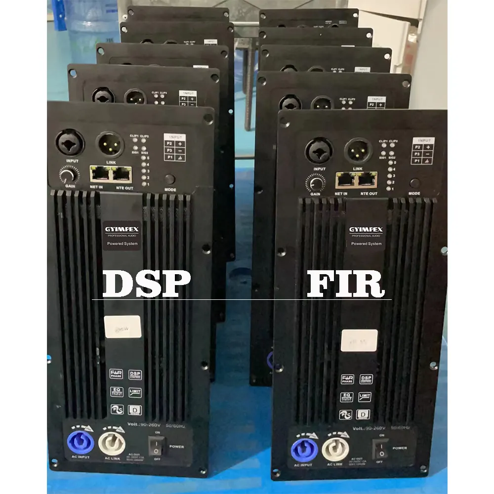 DSP31FIR modulo amplificatore di potenza portatile dsp fir classe Audio D 800w + 300watt per altoparlante Stage Ktv Club Hotel