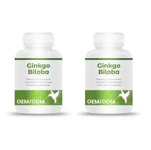 Emballage personnalisé de haute qualité Vente en gros OEM/ODM Marque Ginkgo Biloba Nespharma Usine au meilleur prix