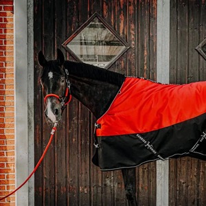 Licol de cheval renforcé, réglable, design robuste pour le contrôle, l'entraînement, l'utilisation en écurie et les soins équestres quotidiens - Product Image 5