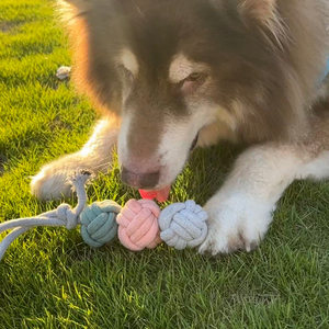 Jouet pour chien en corde en plastique écologique en forme de boule de crème glacée, jouet tendance pour animaux de compagnie avec sac de rangement pratique pour le jeu - Product Image 3