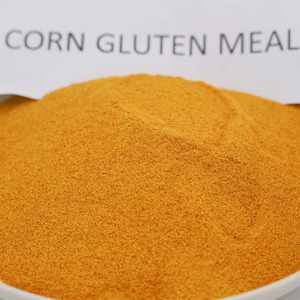 Farine de gluten de maïs jaune riche en protéines (60 % de protéines) – Additifs alimentaires à vendre - Product Image 5