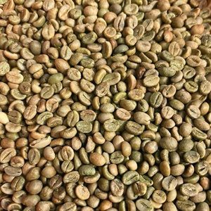 [Café DHPONE] Granos de Café Robusta Verde, Proceso Honey S16, Café Especial Gia Lai Vietnam, Grado A+, 60 kg/Bolsa de Yute - Product Image 2