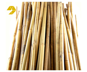 Varas de Bambú Ecológicas para Jardinería, Uso Estructural y Proyectos Rurales, de Vietnam, Caña de Bambú de 25mm, 30mm, 50mm - Product Image 1