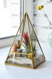 Terrarium en métal de fer de conception géométrique personnalisable et finition en cuivre de verre pour la décoration de maison et de jardin - Product Image 4