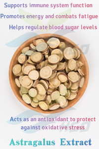 Suministro directo de fábrica HGO de extracto puro de astrágalo natural (grado de alimentos saludables) Especificación 10:1 (extracto de proporción) - Product Image 4