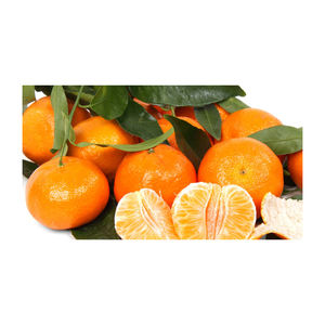 Precio de fábrica, calidad superior, mandarina, naranja, cítricos frescos - Product Image 6